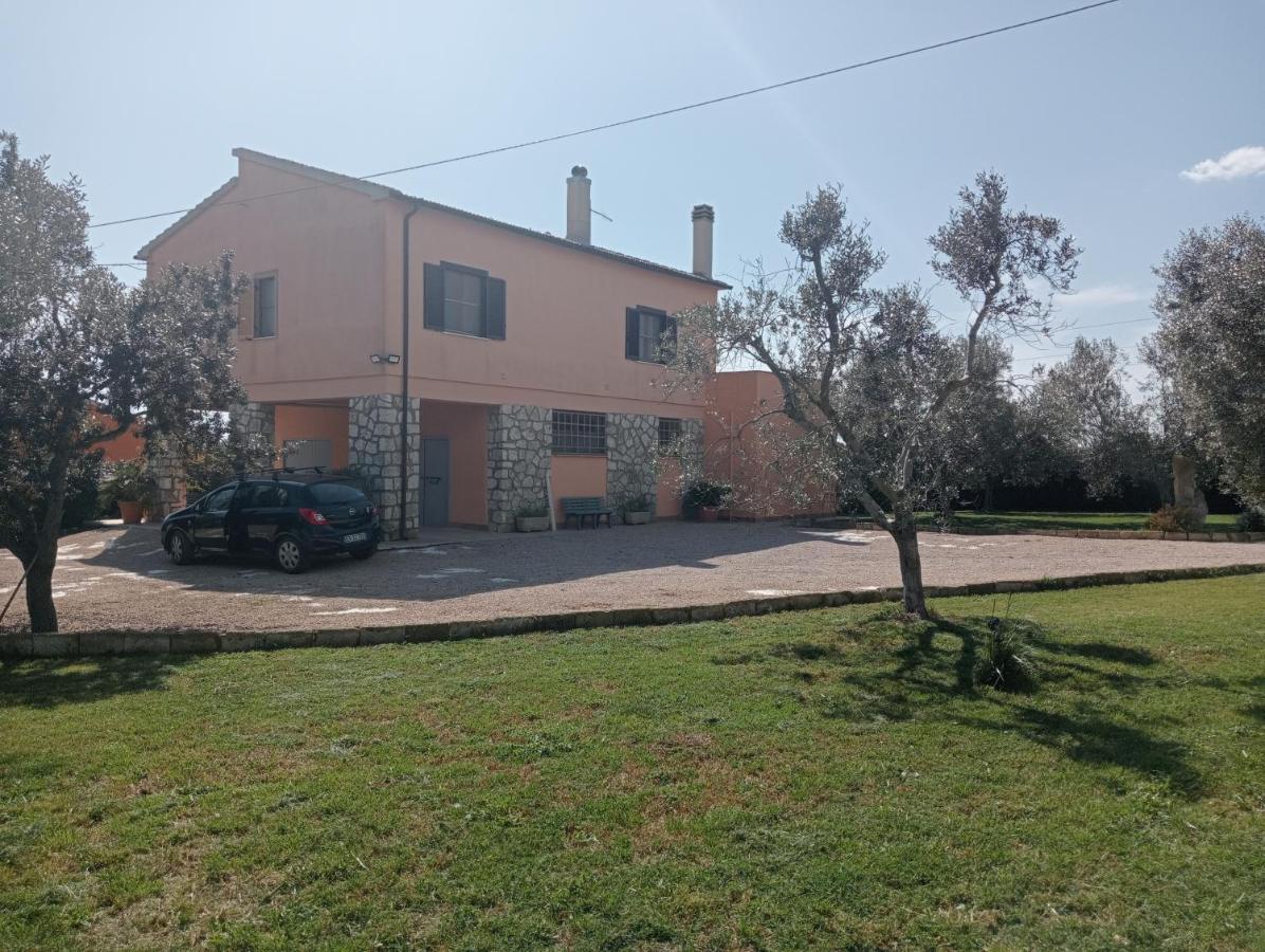 מונטאלטו די קסטרו Villa In Campagna Tra Natura E Verde מראה חיצוני תמונה