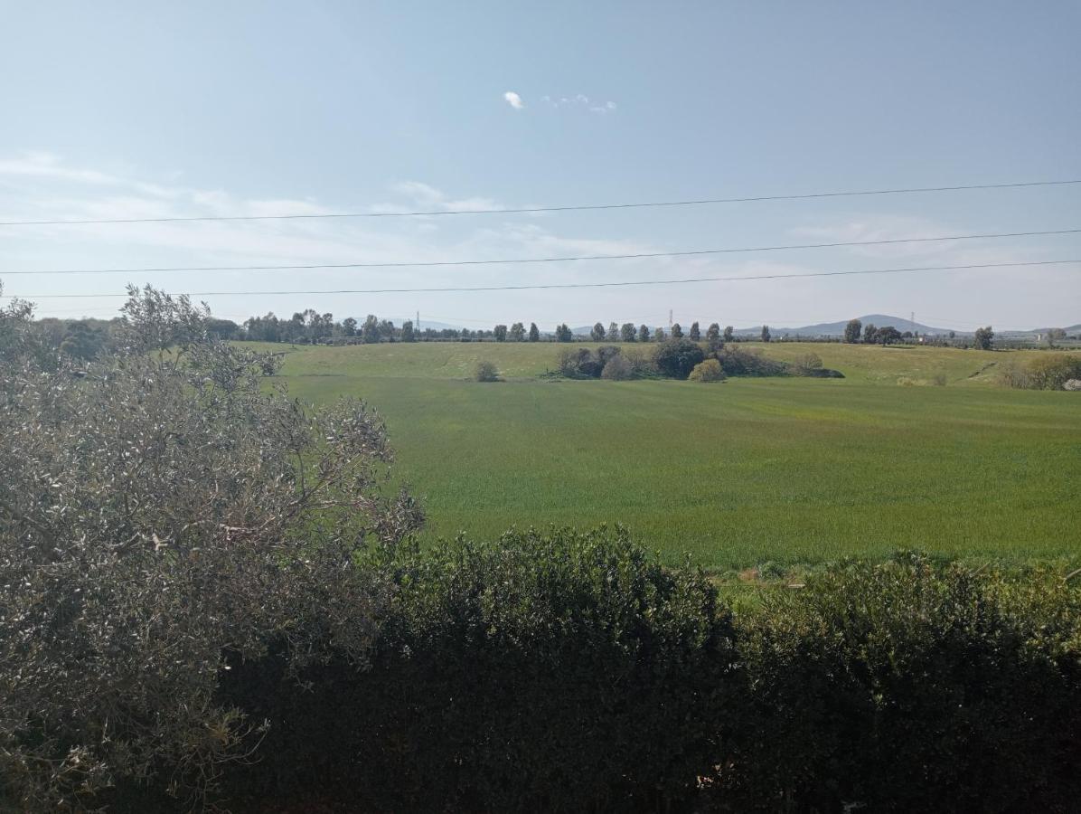 מונטאלטו די קסטרו Villa In Campagna Tra Natura E Verde מראה חיצוני תמונה