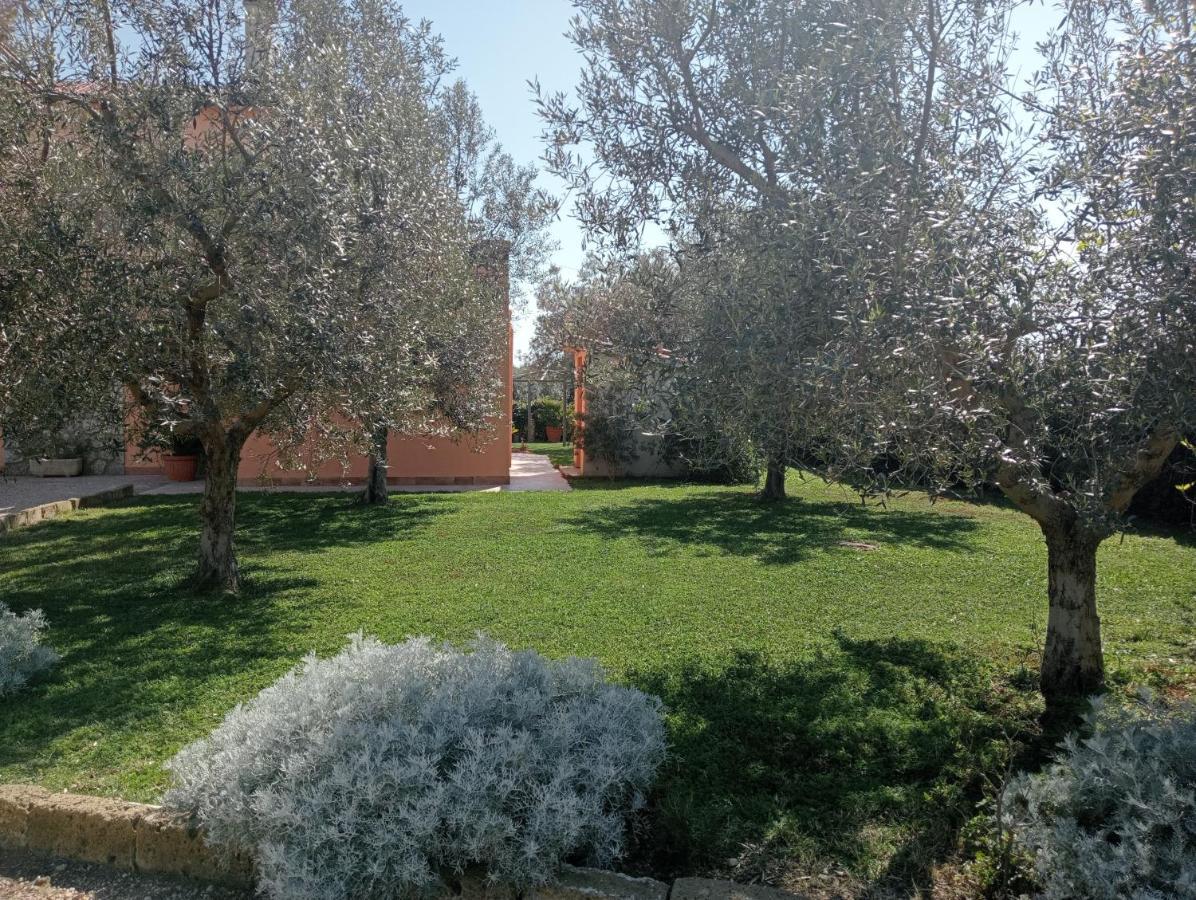 מונטאלטו די קסטרו Villa In Campagna Tra Natura E Verde מראה חיצוני תמונה